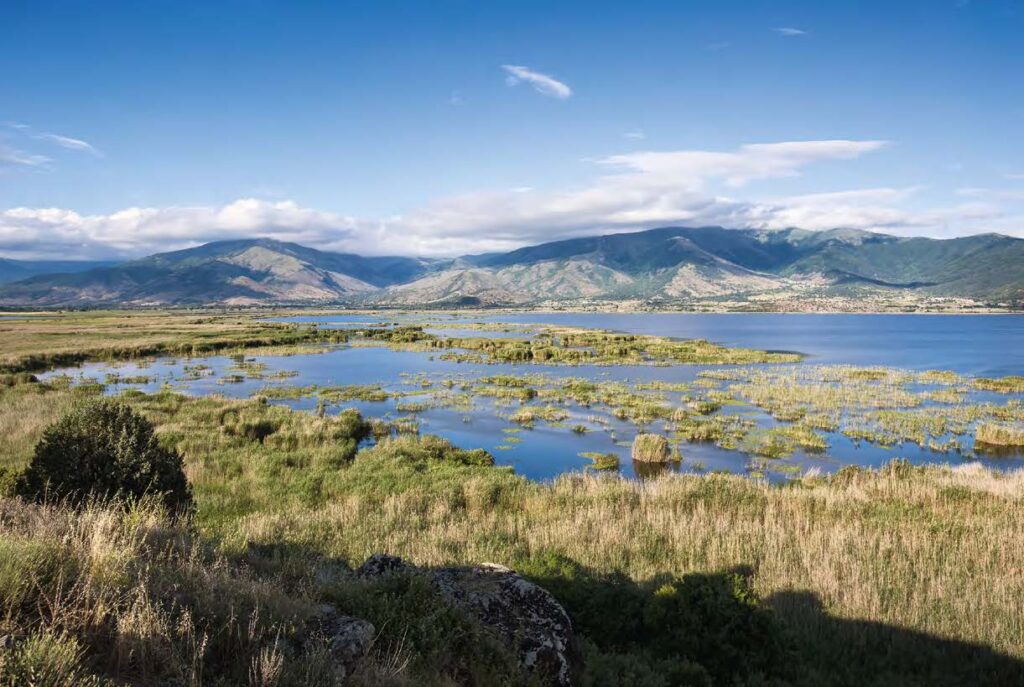 Zones humides MAVA montagne épurer nos eaux