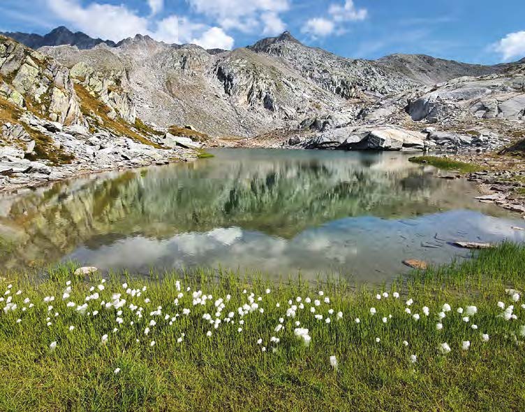 zone humide lac montagne réguler le cycle de l'eau