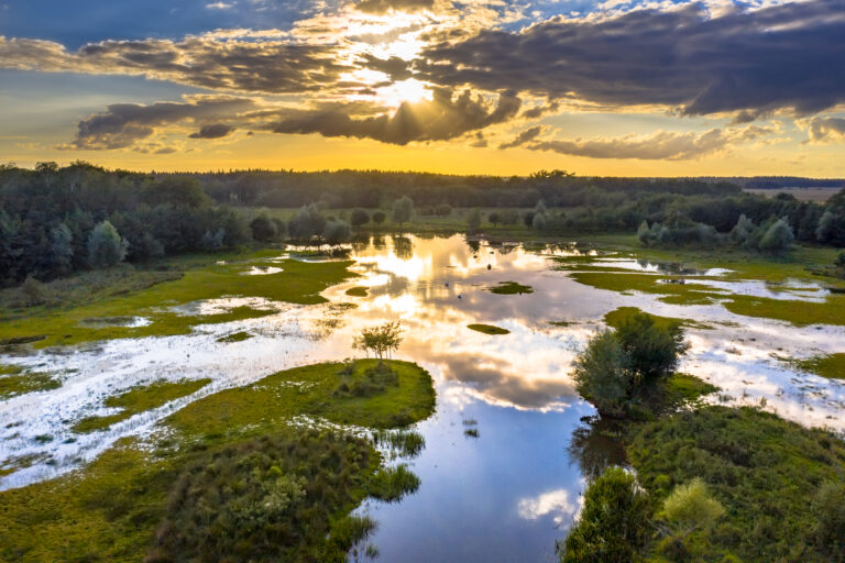 Zones humides, leurs importance, les enjeux climatiques, biodiversité et gestion des ressources en eau