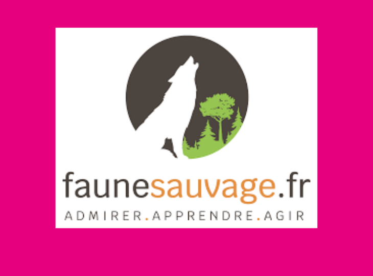 Faune Sauvage