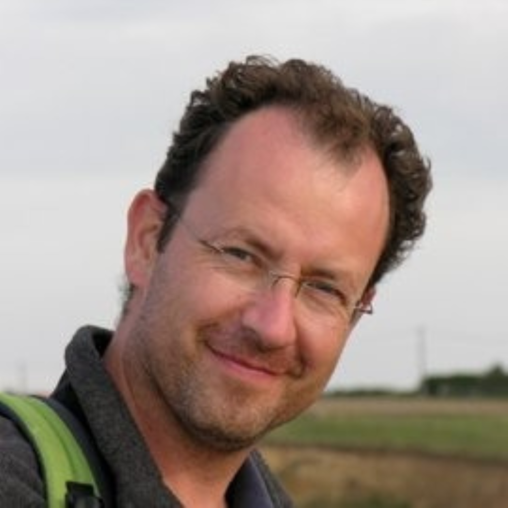 David ambassadeur Flamingo