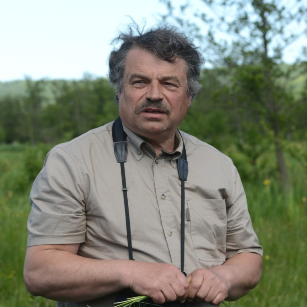 Thierry ambassadeur Flamingo